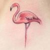 pflamingoshop